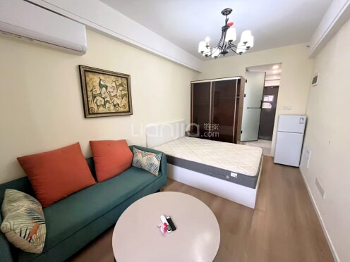 整租·和泓芯寓 1室1厅 东南