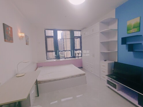 整租·欧郡 1室1厅 东/东南