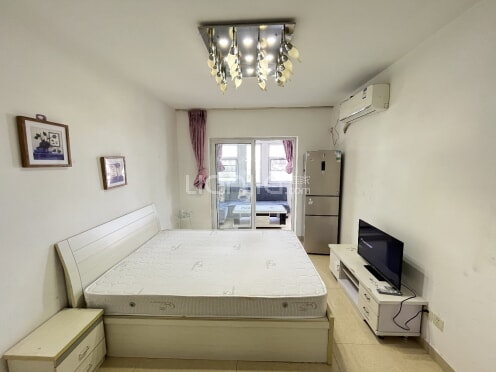 整租·神仙树缤纷 1室0厅 西南