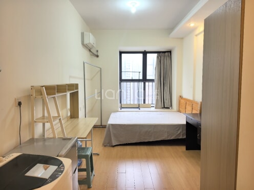 整租·龙湖时代天街 1室0厅 西南