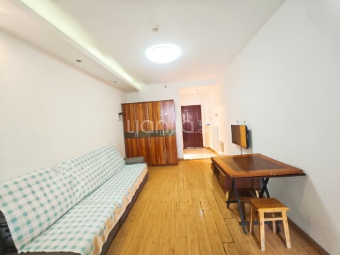 整租·龙城高新天地 1室1厅 东南