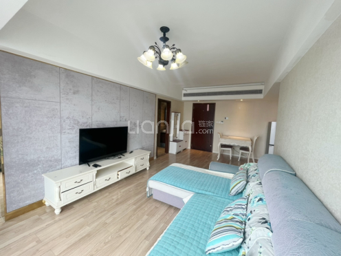 整租·天越 1室1厅 东南