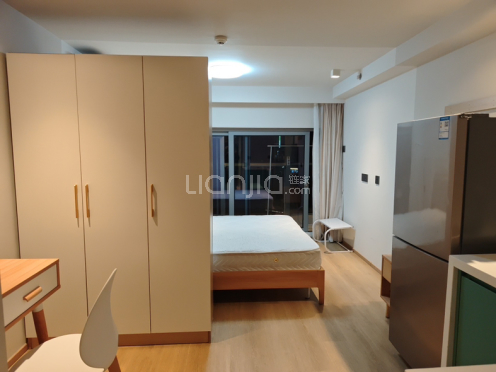 整租·万科未来之光 1室1厅 南