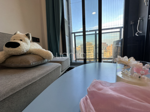 整租·璟悦轩小巨蛋 3室1厅 东南