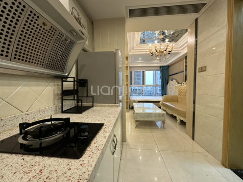 整租·神仙树缤纷 1室1厅 南