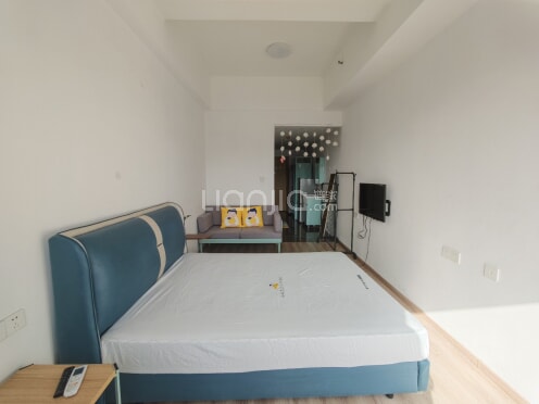 整租·智慧广场 1室1厅 南