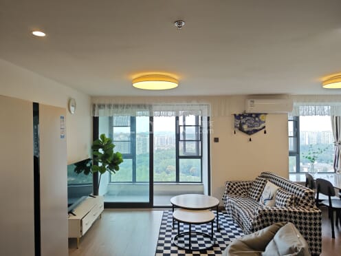 整租·电建洺悦府 2室2厅 南