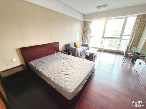 整租·星光国际公馆 1室1厅 南