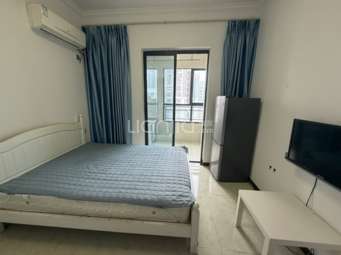 整租·蓝润V客东都一期 1室1厅 东南/西南