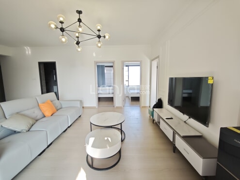 整租·金沙湖畔 3室2厅 西南