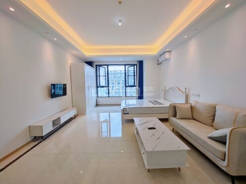 整租·蓝光T-max 1室1厅 南