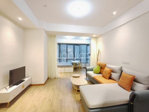 整租·时代晶座(高新) 1室0厅 西北