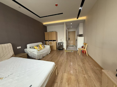 整租·大成莲创 1室1厅 南