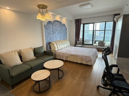 整租·中奥江锦国际 1室1厅 北