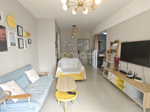 整租·长富新城 1室1厅 东南