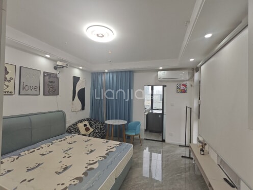 整租·佳源生活广场 1室1厅 东南