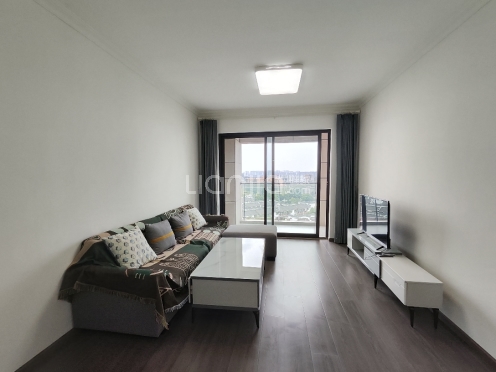 整租·金沙湖畔 3室2厅 南