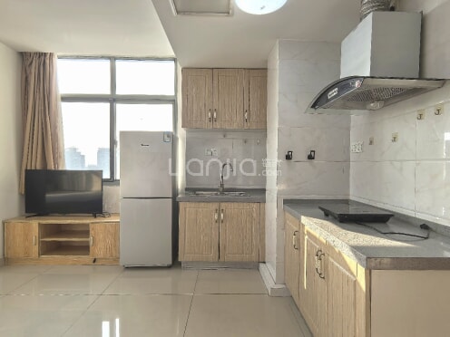 整租·国展中心广场 1室1厅 东南