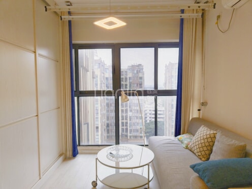 整租·神仙树缤纷 1室1厅 东南