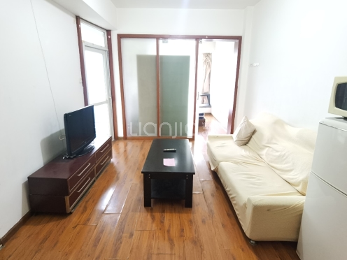 整租·锦江印象 1室1厅 东北