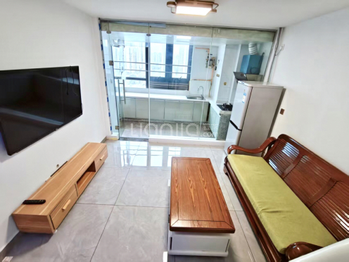 整租·悦彩广场 1室1厅 南