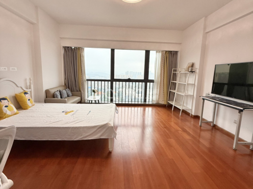 整租·星河上寓 1室0厅 南