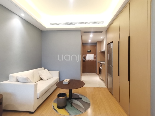 整租·中粮天府宸悦 1室0厅 南