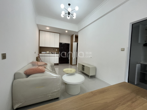 整租·洲际健康城 1室1厅 东南