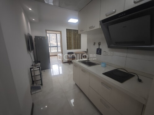 整租·格林悦城花园 1室1厅 南