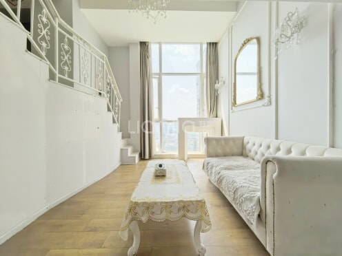 整租·丽阳天下 1室1厅 南