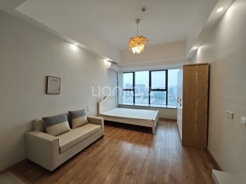 整租·新尚天地 1室1厅 东南