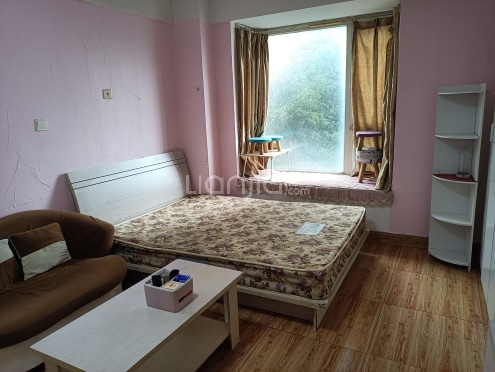 整租·香木林加州国际 1室1厅 南