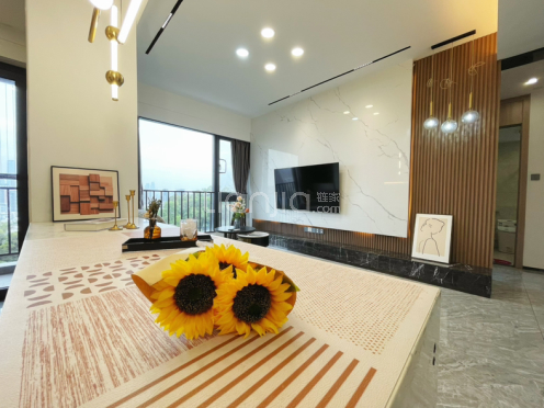 整租·枫叶望海公馆 3室2厅 东北