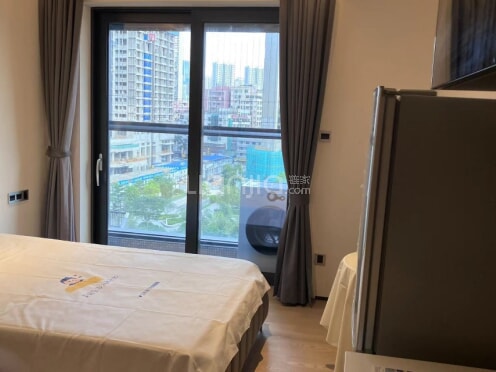 整租·中洲滨海华府一期 1室1厅 东