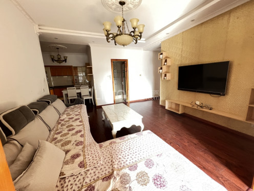 整租·澳洲湾 2室1厅 东南