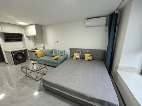 整租·时光里 1室1厅 南