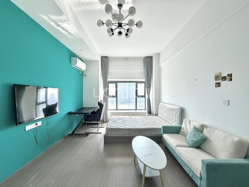 整租·乐活公社 1室1厅 南/西南