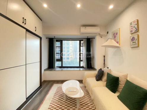 整租·德商蜜柚 1室1厅 东