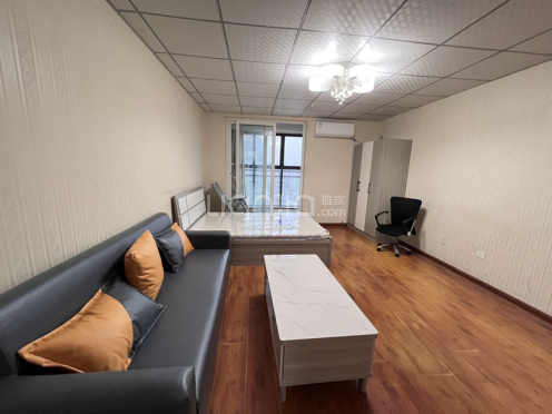 整租·凯信双子国际 1室1厅 东南