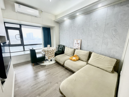 整租·华侨城云岸 1室1厅 东南