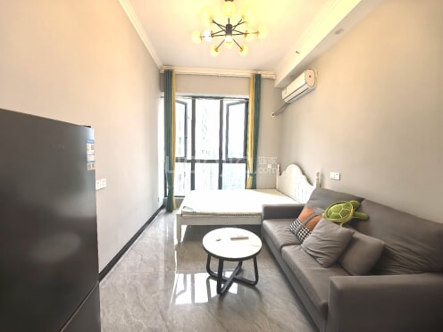 整租·麓公子 1室1厅 东南