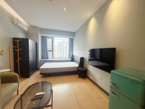 整租·环球汇蔚然 1室0厅 南