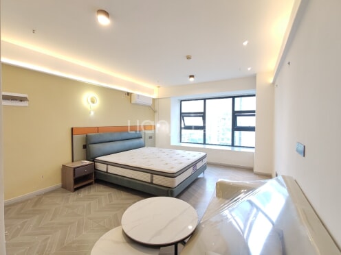 整租·光华之心 1室1厅 南