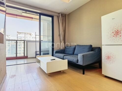 整租·雅颂居二期 1室1厅 西南