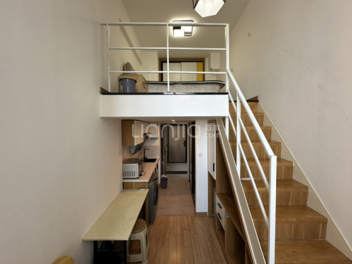 整租·阳光城平江悦 1室1厅 北