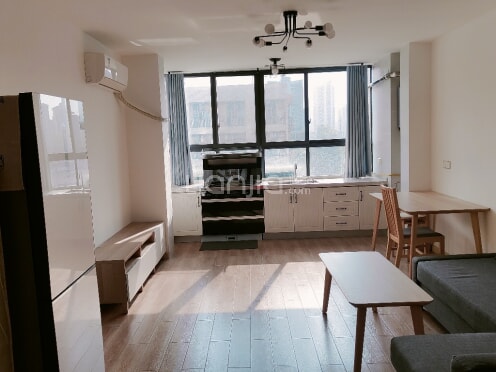 整租·缤纷时代广场 1室2厅 南