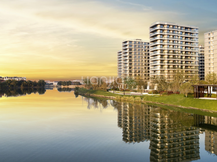 金昌白鹭凤林实景图相册