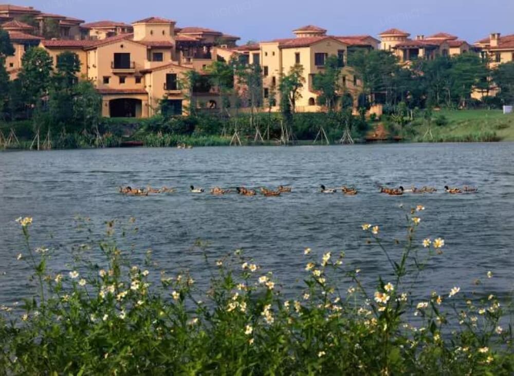 中信山语湖相册