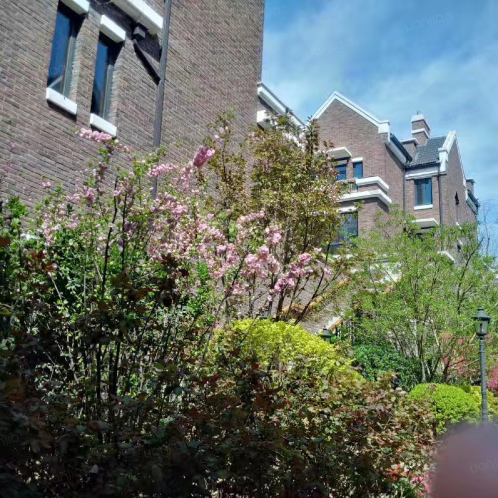 红山壹号院相册