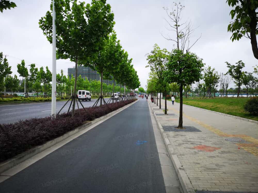 大华公园城市相册